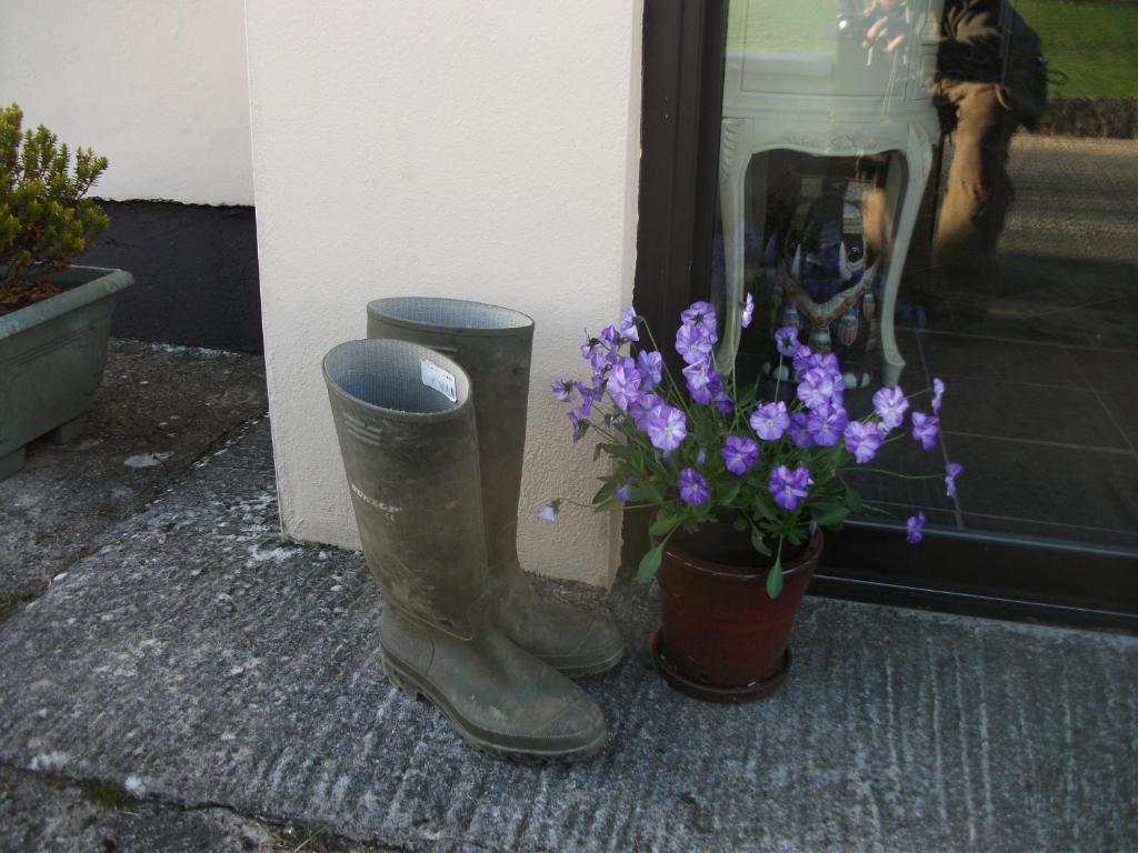 Riverdale Farmhouse Doolin Zewnętrze zdjęcie